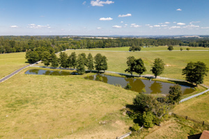 DJI_20250819133456_0221_D