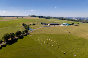 DJI_20250819104034_0110_D