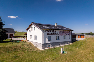 DJI_20250819110221_0183_D