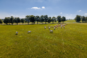 DJI_20250819104247_0117_D