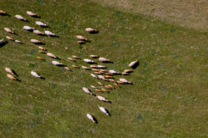 DJI_20250819104536_0131_D