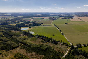 DJI_20250819105726_0172_D