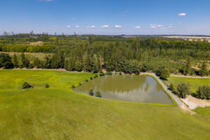 DJI_20250819133736_0229_D