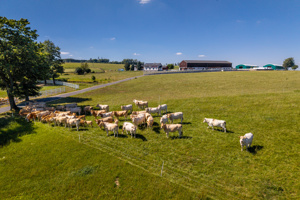 DJI_20250819104312_0119_D